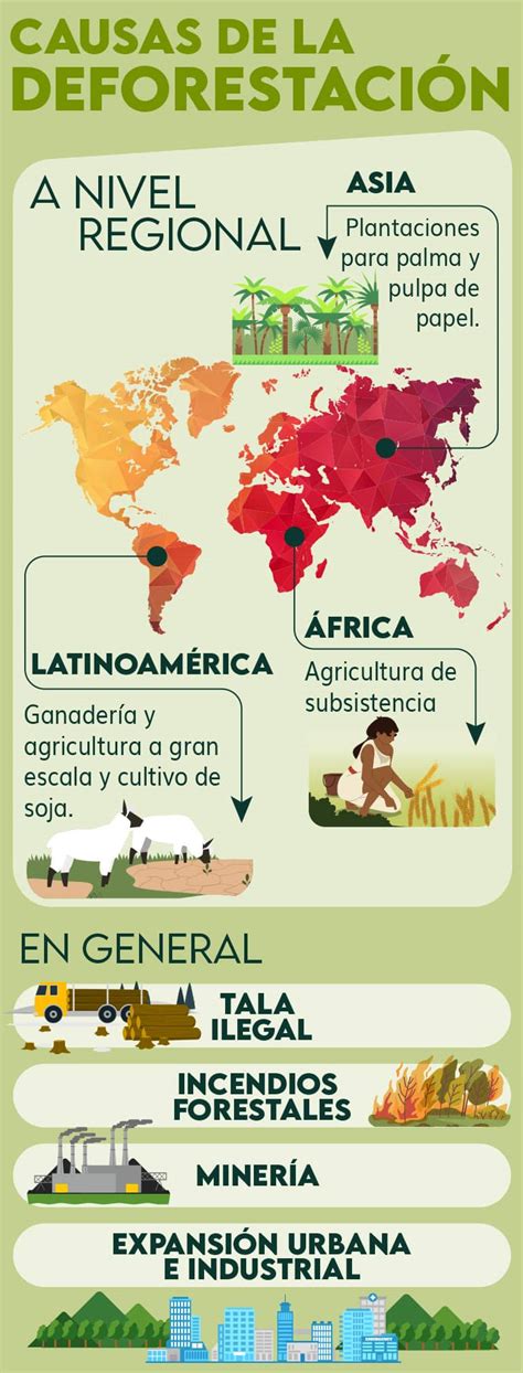 Infografía sobre las principales causas de las lagunas previsionales