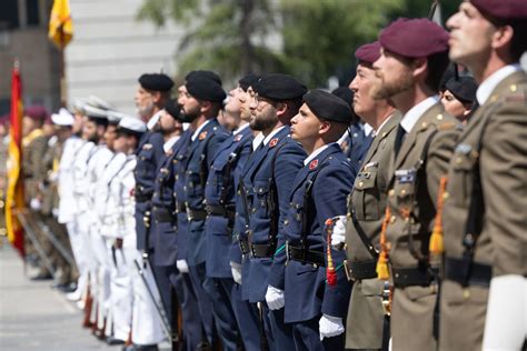 Esquema de las ramas de las Fuerzas Armadas de Chile