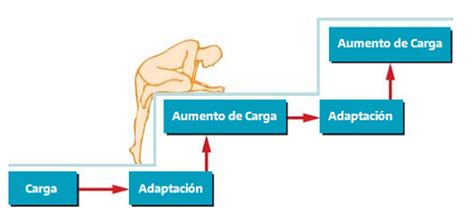 Esquema de la progresión del entrenamiento funcional en el tiempo