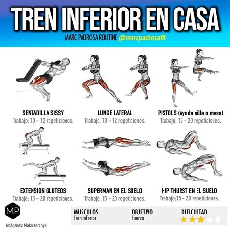 Esquema con ejercicios de fortalecimiento del tren inferior
