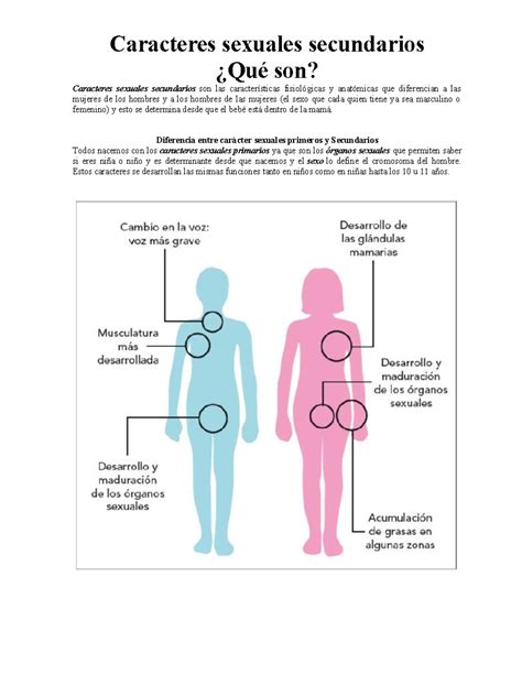 Infografía comparativa de cambios sexuales masculinos y femeninos con la edad