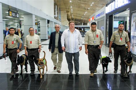 Oficiales de la AFP y unidades caninas en un aeropuerto australiano