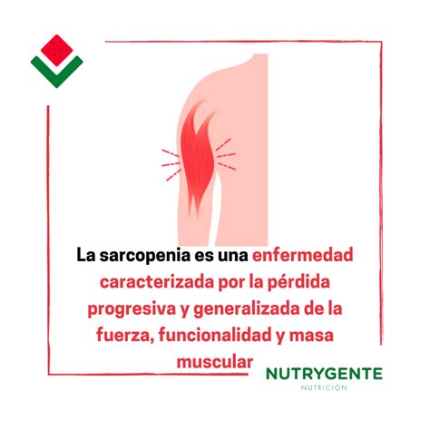 Infografía sobre los factores que contribuyen a la sarcopenia y sus consecuencias