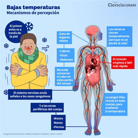 Gráfico informativo sobre enfermedades relacionadas con el frío