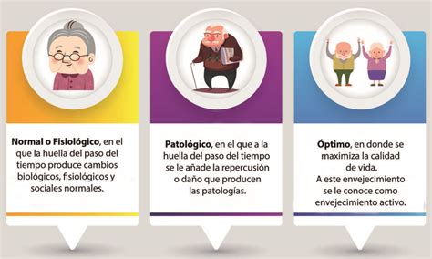 Infografía sobre las etapas del envejecimiento y sus características principales.