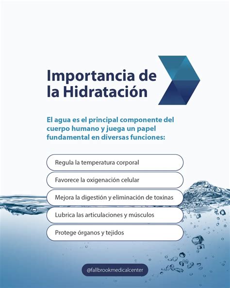 Esquema sobre la importancia de la hidratación nasal y los factores que influyen en la trufa del perro