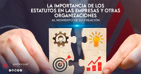Esquema sobre la importancia de los estatutos y el registro civil para definir la naturaleza de las organizaciones sociales