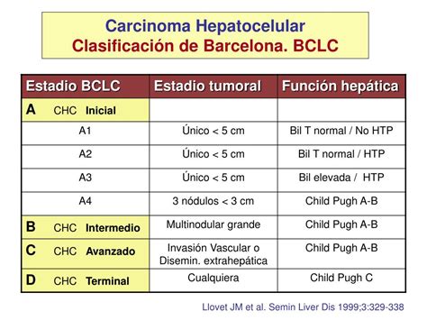 Esquema de las etapas del hepatocarcinoma (BCLC)