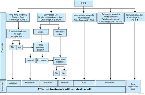 Infografía: Tipos de tratamiento para el hepatocarcinoma (quirúrgico, localizado, sistémico)