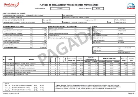 Esquema de planilla de declaración AFP con campos y formatos de datos