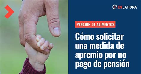 Infografía: Medidas de apremio por no pago de pensión alimenticia