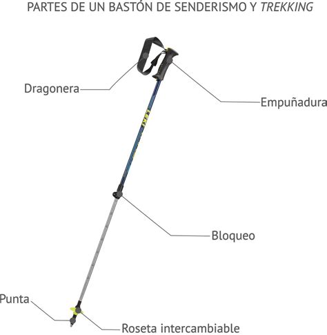Esquema o fotografía de un bastón cuádruple, mostrando sus componentes y la base