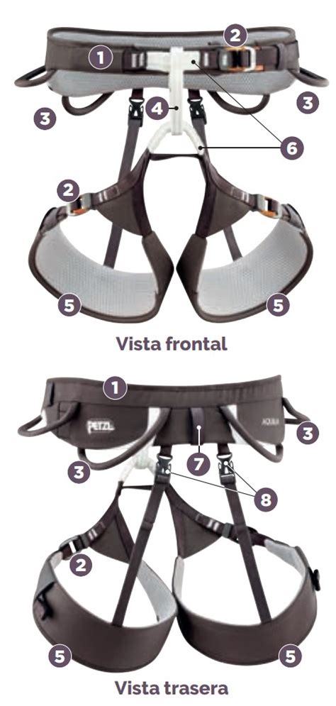 Esquema de un arnés ortopédico mostrando las áreas de soporte
