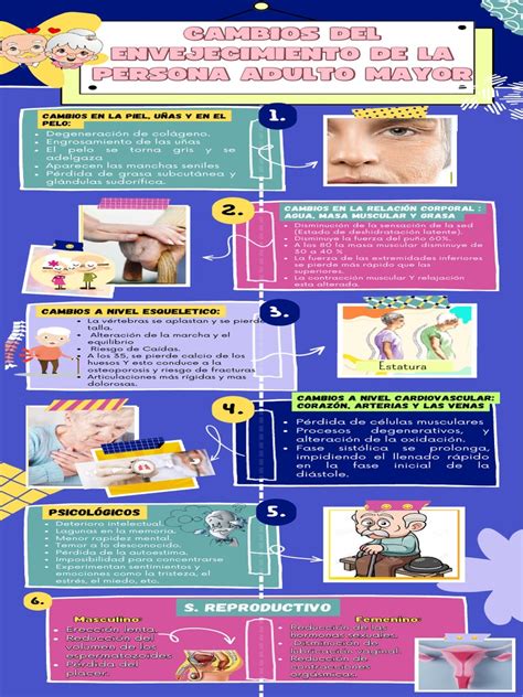 Infografía: Cambios fisiológicos sexuales en hombres y mujeres mayores