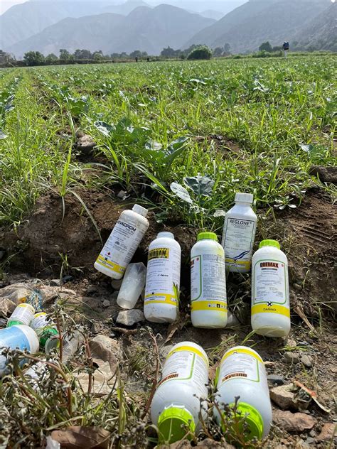 Campo agrícola con prácticas agroecológicas y uso responsable de plaguicidas