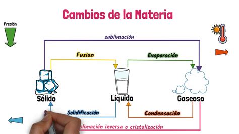 Diagrama de los cambios en el ojo relacionados con la edad
