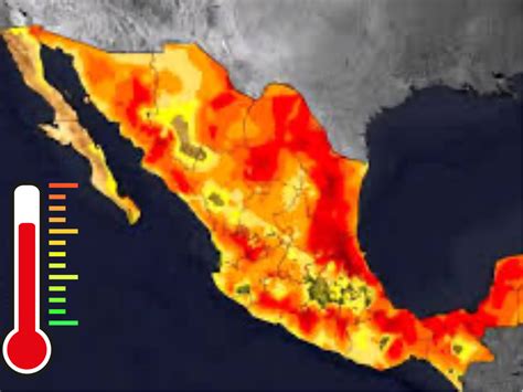 Gráfico comparativo de muertes anuales por olas de calor y olas de frío en España.