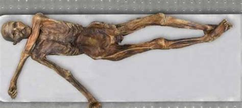 Esquema de la momia Ötzi con la ubicación de sus tatuajes