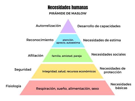 Esquema con diferentes tipos de necesidades de cuidado para adultos mayores