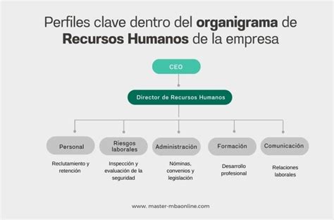 Organigrama de los recursos judiciales y sus posibles causas de inadmisibilidad