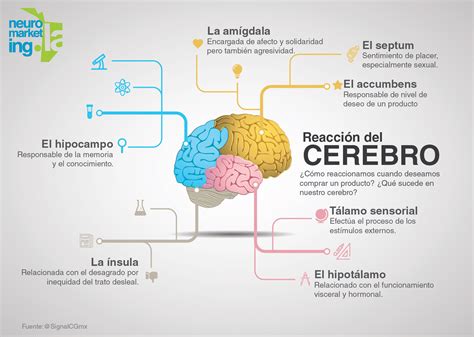 Infografía: Cerebro bailando, mostrando activación en zonas de memoria, coordinación, ritmo y emoción