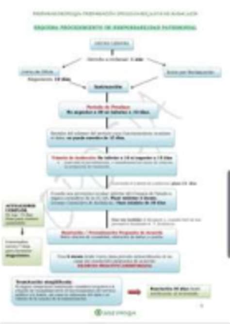 Esquema del procedimiento de investigación patrimonial de deudores alimentarios