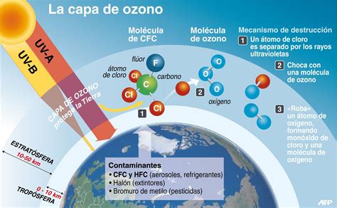 Infografía sobre las sustancias agotadoras de la capa de ozono y sus fuentes