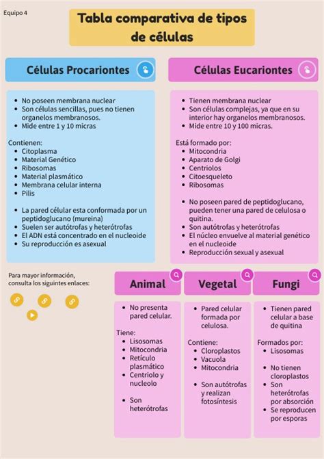 Tabla comparativa: Diferencias entre tipos de cuidadores y sus cualificaciones
