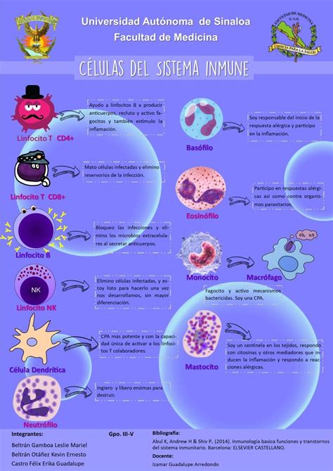 Infografía explicativa sobre el funcionamiento del sistema inmune y la detección de anticuerpos mediante ELISA