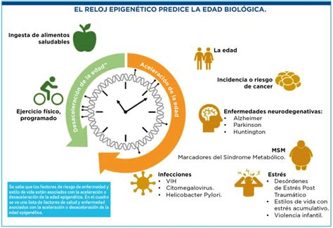Esquema explicativo del 