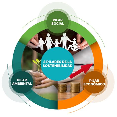 Infografía que resume los pilares y objetivos de la Política Nacional de Desarrollo Rural