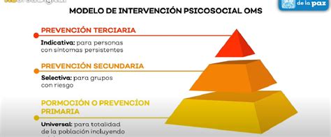 Esquema que muestra los pilares de intervención: prevención, capacitación técnica, apoyo psicosocial e inserción laboral.