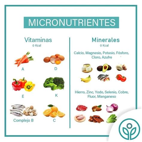 Infografía sobre los micronutrientes esenciales (calcio, zinc, vitamina B12 y D) necesarios para el adulto mayor.