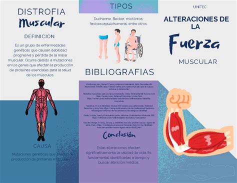 Infografía sobre la diferencia entre atrofia y acortamiento muscular