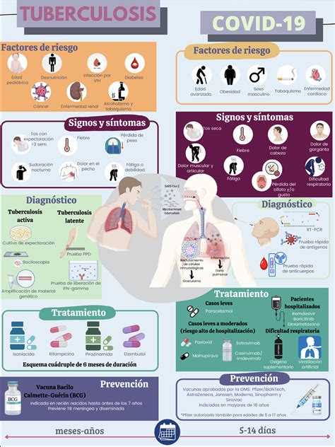 Infografía sobre factores de riesgo para tuberculosis en adultos mayores