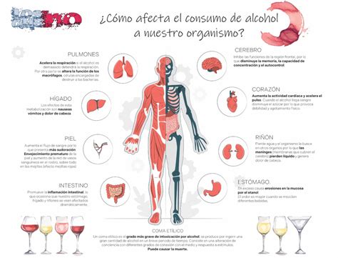 Infografía sobre los distintos efectos del alcohol en diferentes órganos del cuerpo de una persona mayor