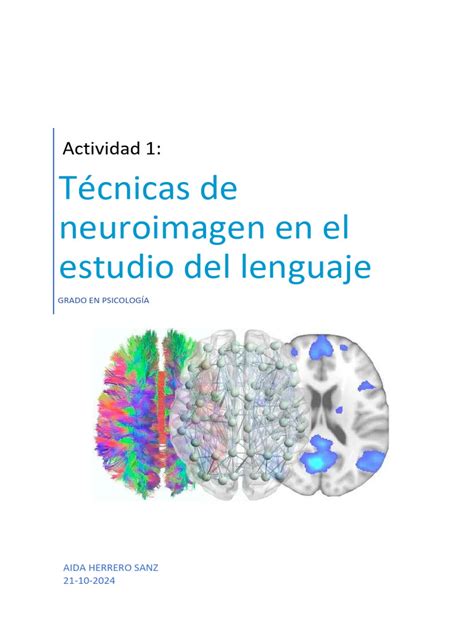 Infografía sobre las diferentes técnicas de neuroimagen utilizadas en el estudio del lenguaje y el cerebro.