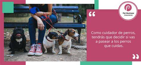 Esquema de servicios ofrecidos por cuidador de perros en Calama