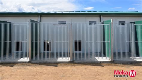 Imagen interior de una residencia canina moderna y bien equipada