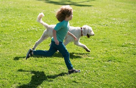 Niño jugando felizmente con un cachorro en el césped