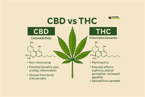 Tabla comparativa de los efectos del THC y CBD.