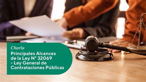 Esquema de los objetivos y alcances de la Ley 20.248