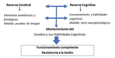 Diagrama que ilustra los componentes de la reserva cognitiva y su impacto en la salud mental.