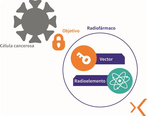 Esquema explicativo de la medicina nuclear: desde la administración del radiofármaco hasta la obtención de imágenes tridimensionales y la terapia dirigida.