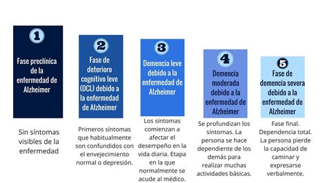 Esquema de las etapas de la enfermedad de Alzheimer con afectación cerebral