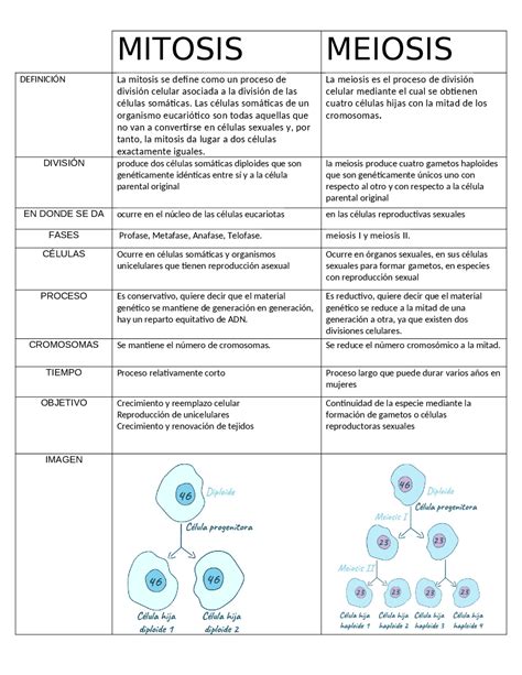 Esquema comparativo entre la figura angulosa del mendigo y la forma redondeada de la guitarra.