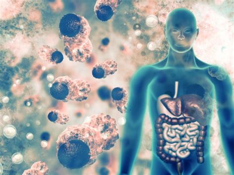Esquema de la dilatación capilar y eliminación de toxinas en la piel