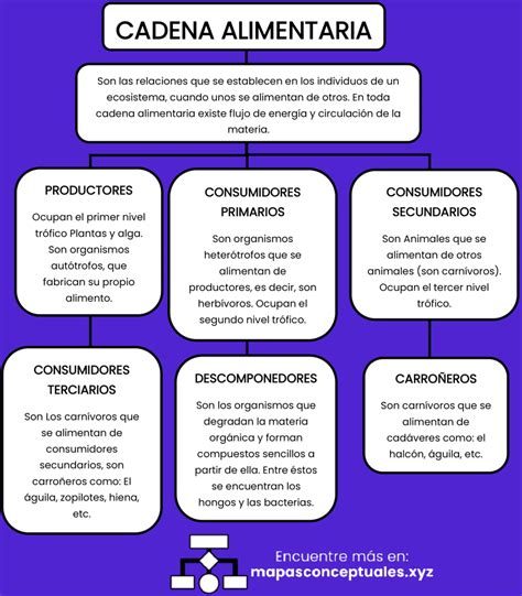 Mapa conceptual que ilustra los componentes de una Cadena de Accesibilidad.