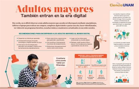 Infografía sobre la brecha digital en adultos mayores en Chile y las soluciones propuestas