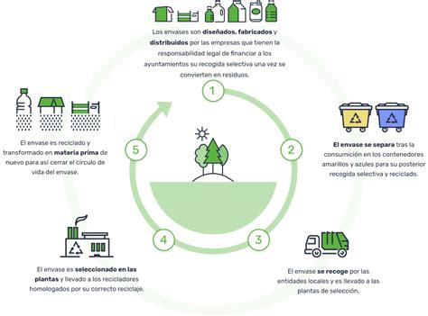 Infografía mostrando el proceso de reciclaje de pallets de madera y sus nuevas aplicaciones.